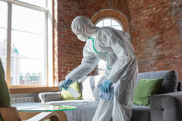 Mold Remediation for Vacation Homes in Cibolo, TX