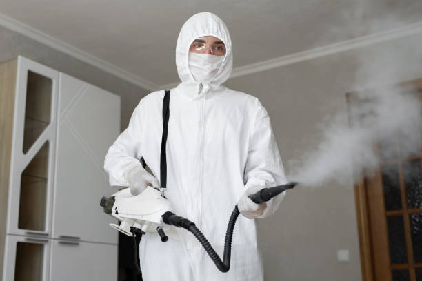 Best Indoor Air Quality Assessment  in Cibolo, TX